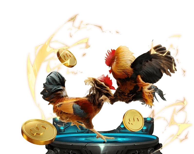 Các ưu điểm nổi bật của wim33